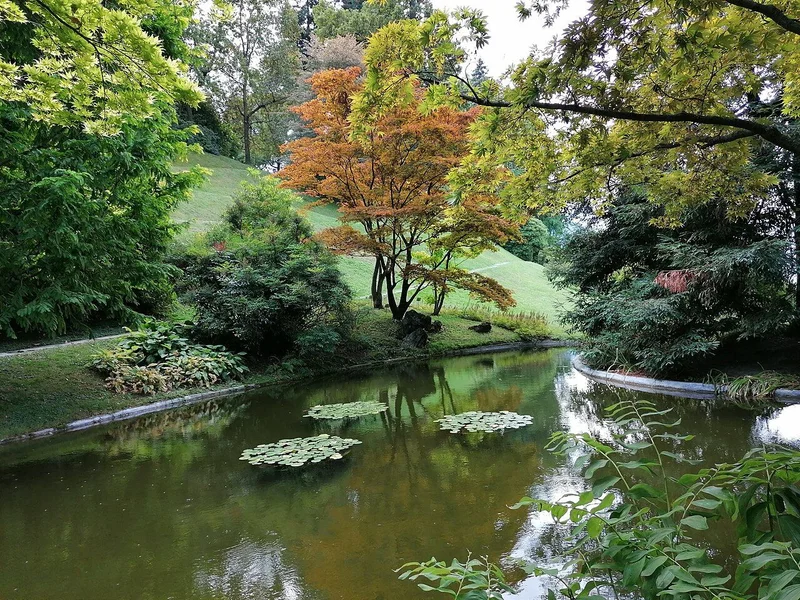 The Japanese pond at Villa Melzi gardens, Bellagio